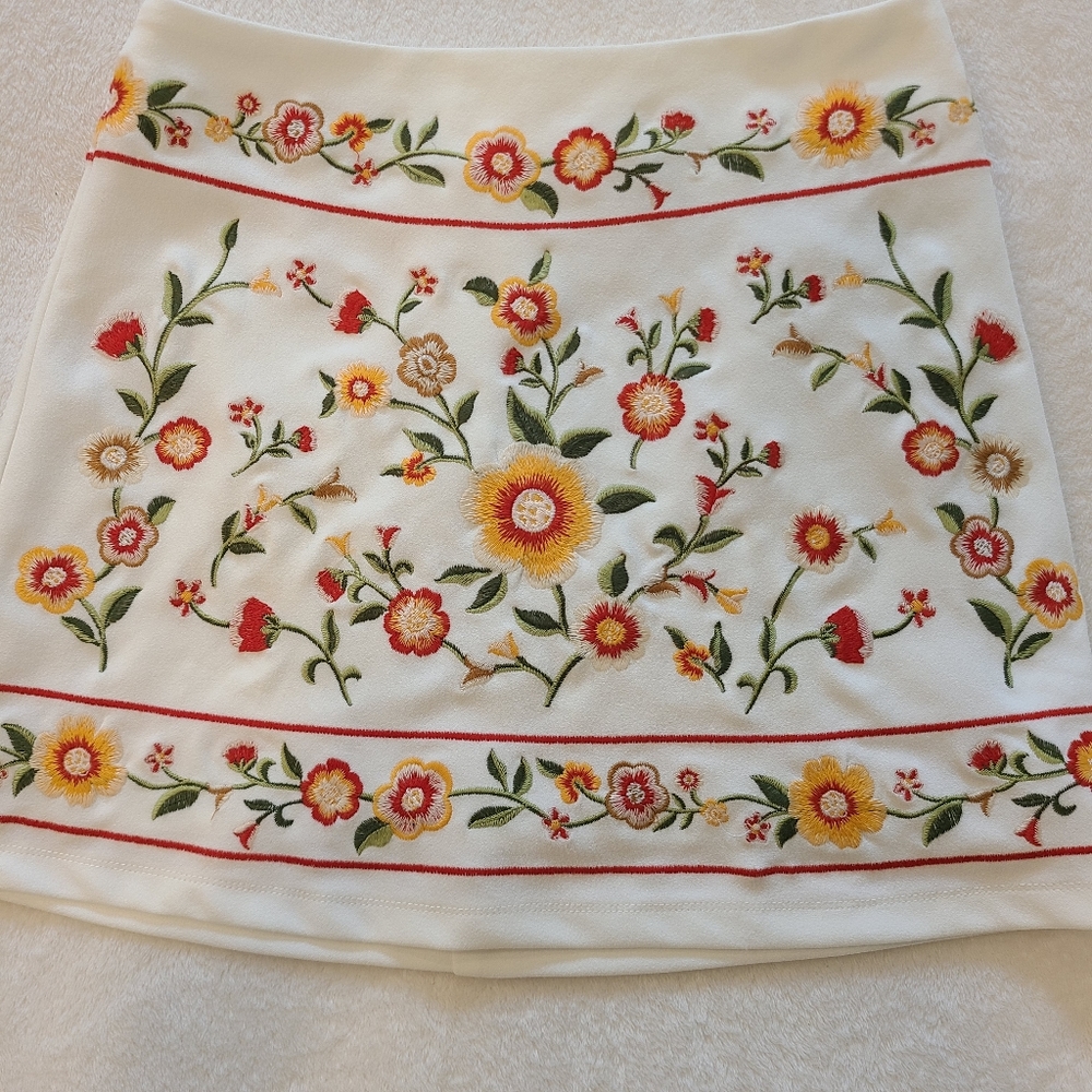 Super cute skirt with embroidery